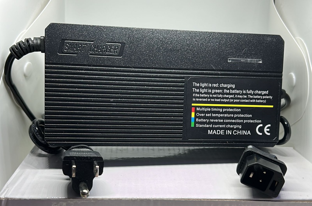 Cargador Bicicleta Electrica Hiking