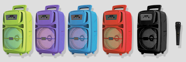 Bocina Bluetooth 8" Link bits SA8066T